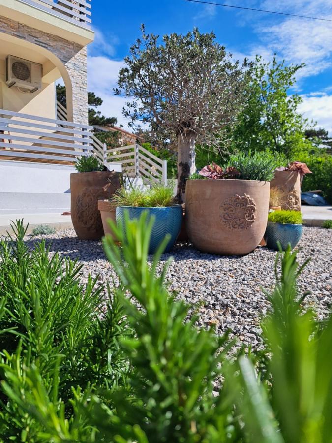 Vila Aria - Health & Wellness App Novi Vinodolski Exterior foto